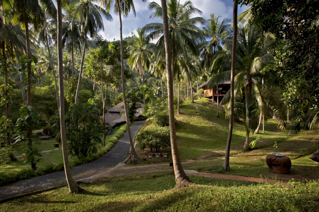 Spiritual retreats in Koh Samui