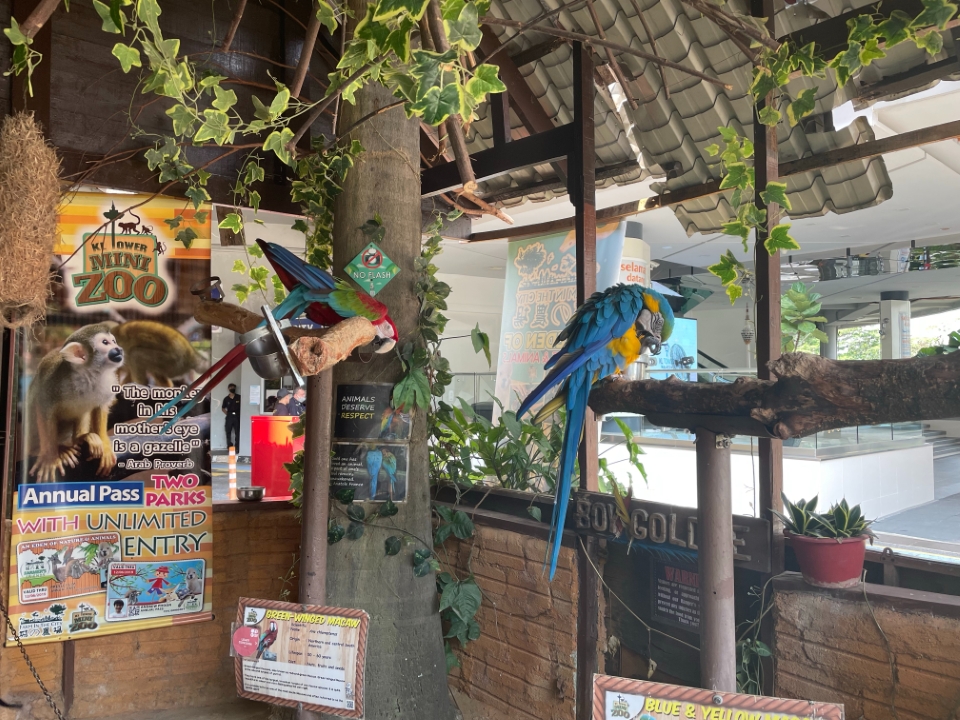 Kid-friendly Spots in Kuala Lumpur