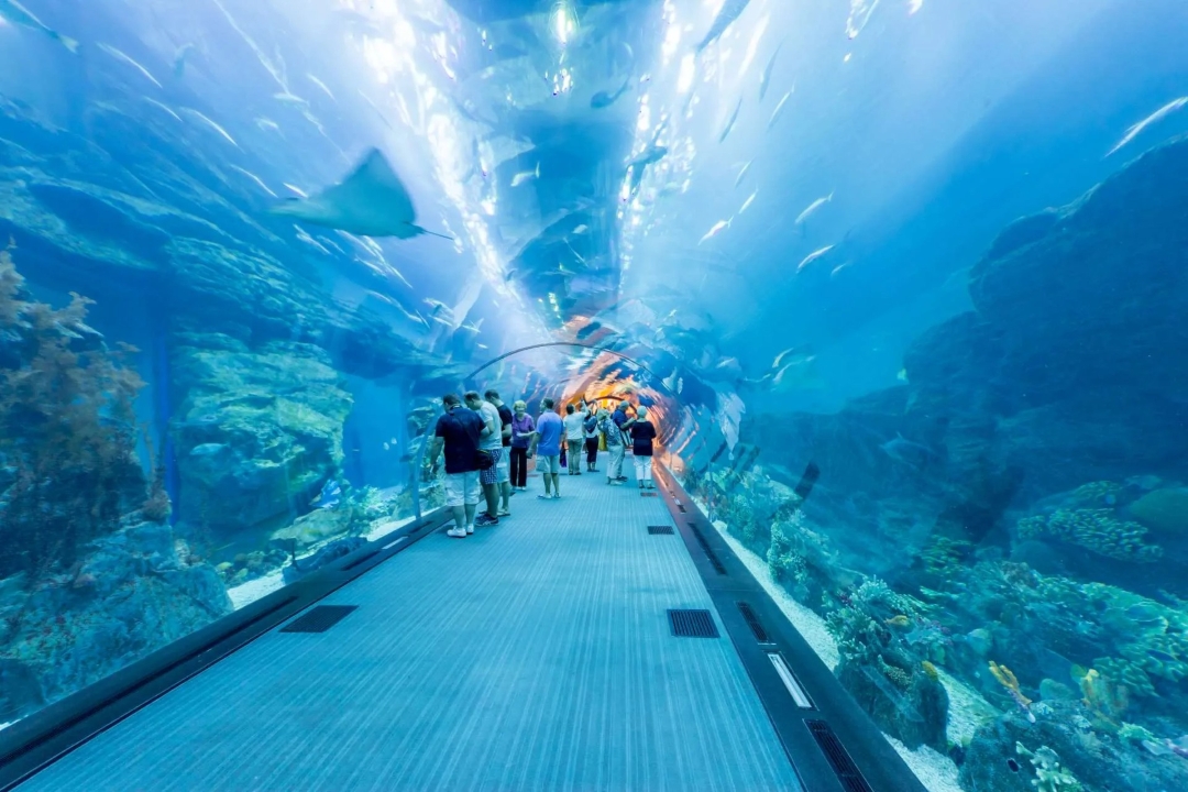 Adventure Activities in Muscat
