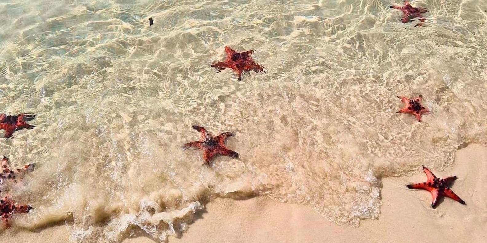 Must-have Experiences in Phu Quoc