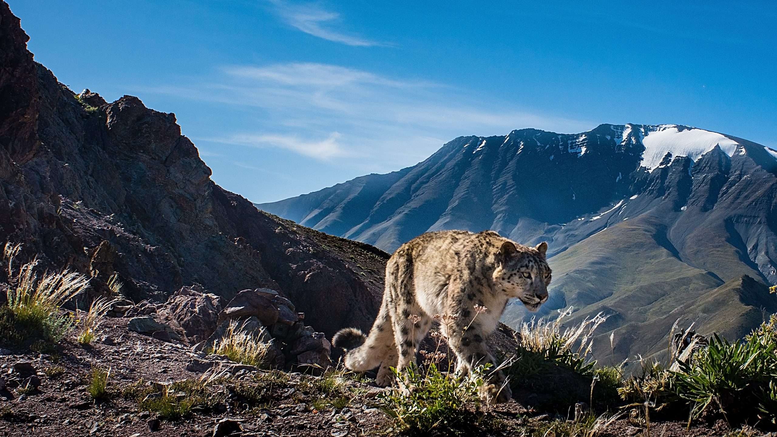 Adventure Activities in Leh