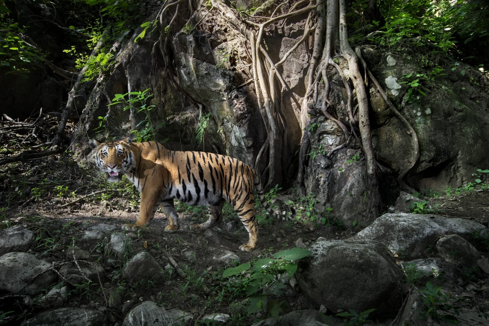 Adventure Activities in Chitwan