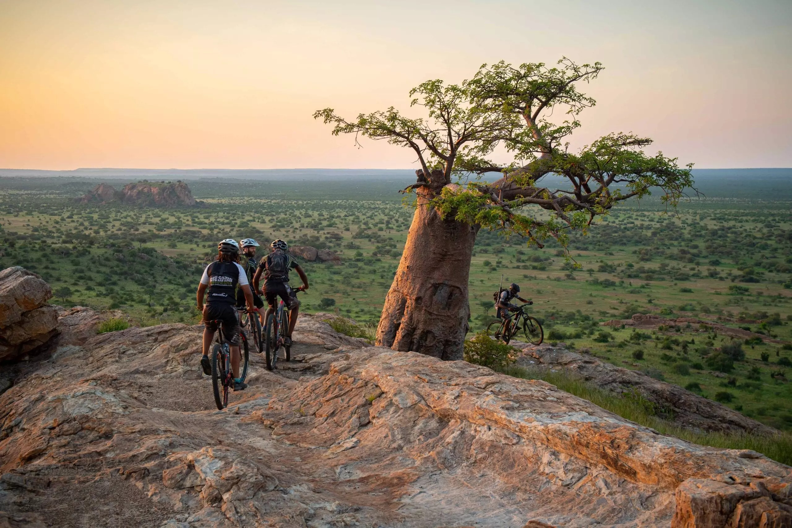 Getting around in Local Transport in South Africa