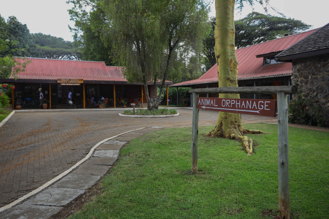 Kid-friendly Spots in Nairobi