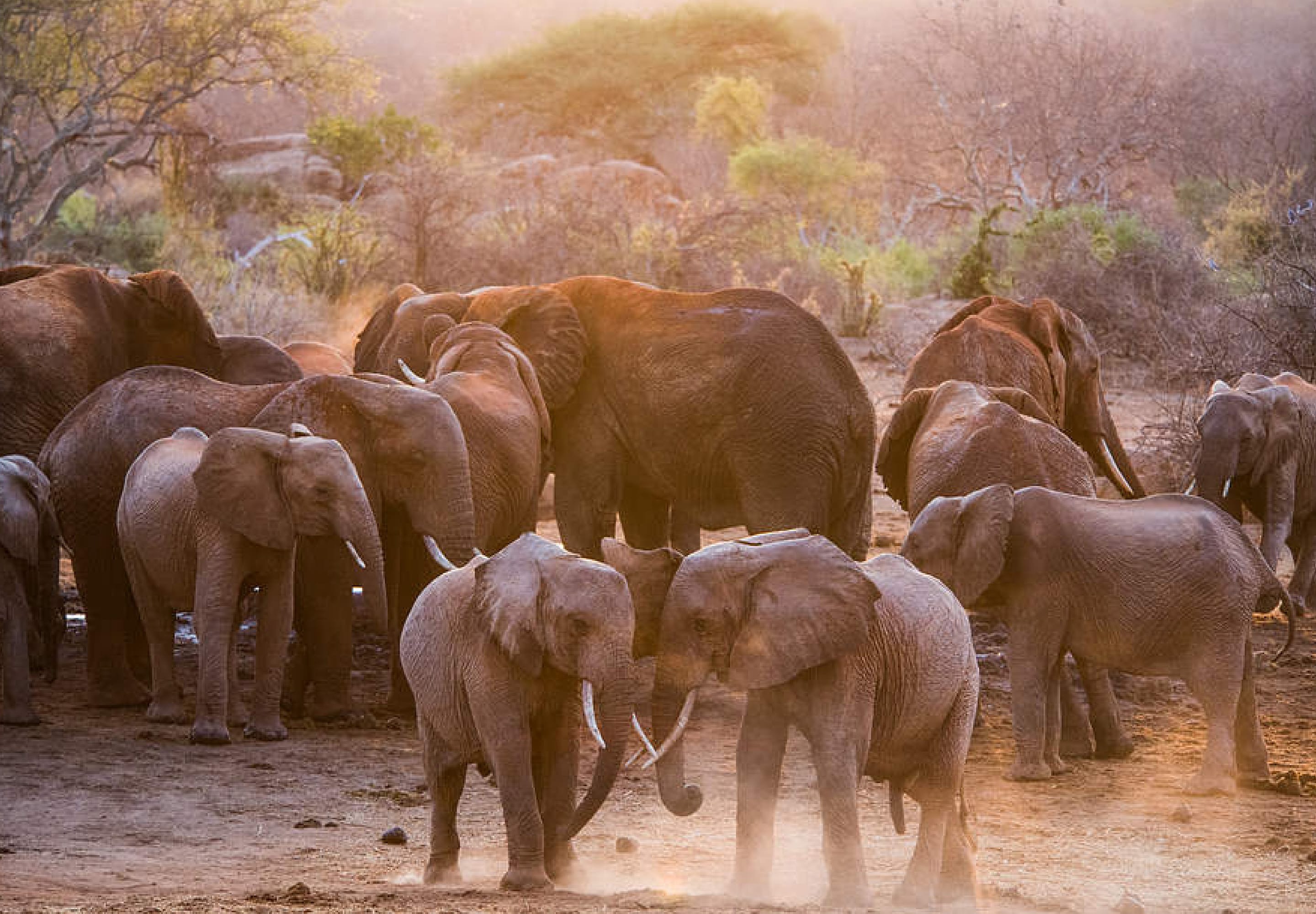 Most Popular Attractions in Nairobi