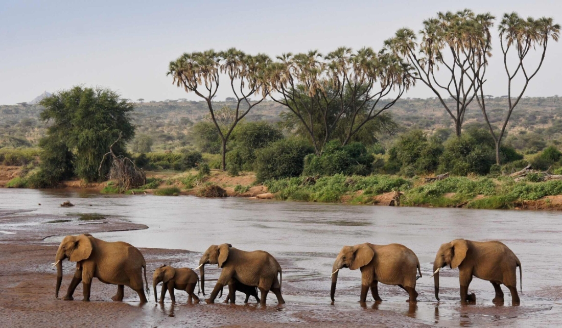 Getting around in Local Transport in Kenya
