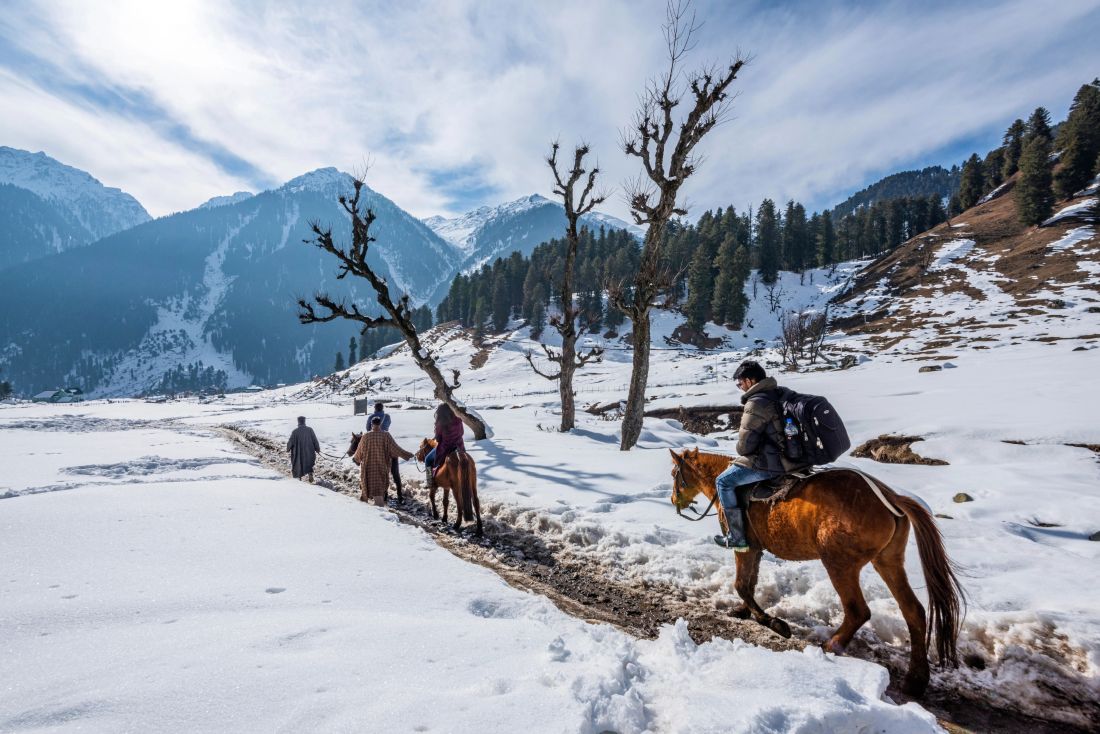 Local Markets & Street Food Spots in Pahalgam