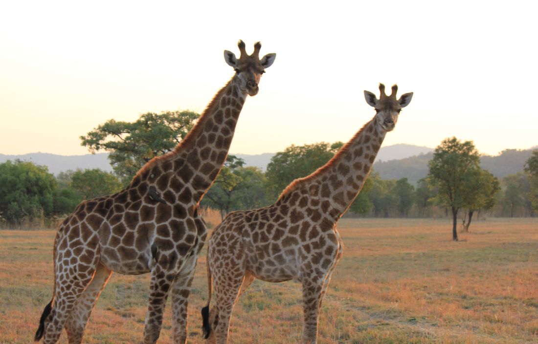 Must-have Experiences in Mabula
