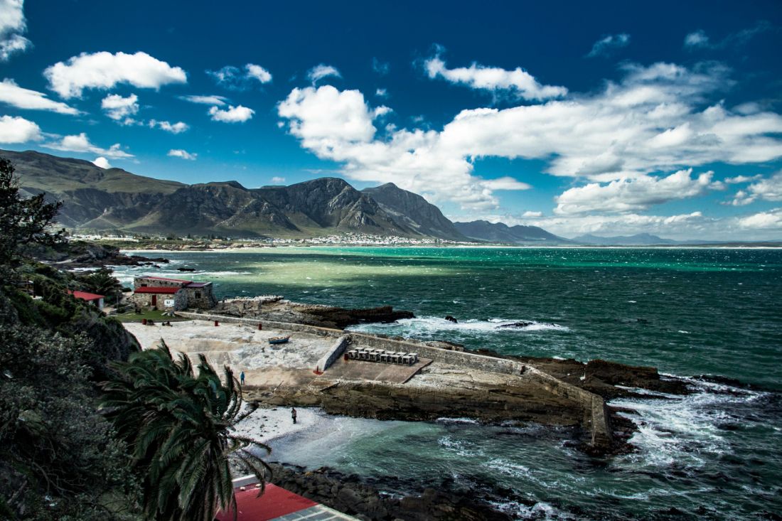 Must-have Experiences in Hermanus