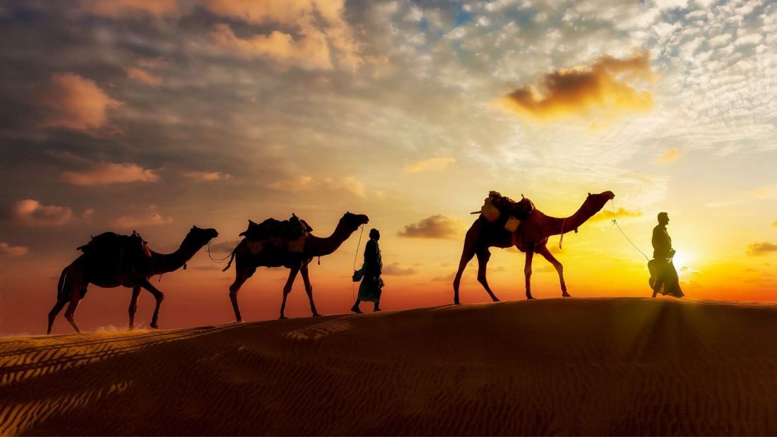 Adventure Activities in Jaipur