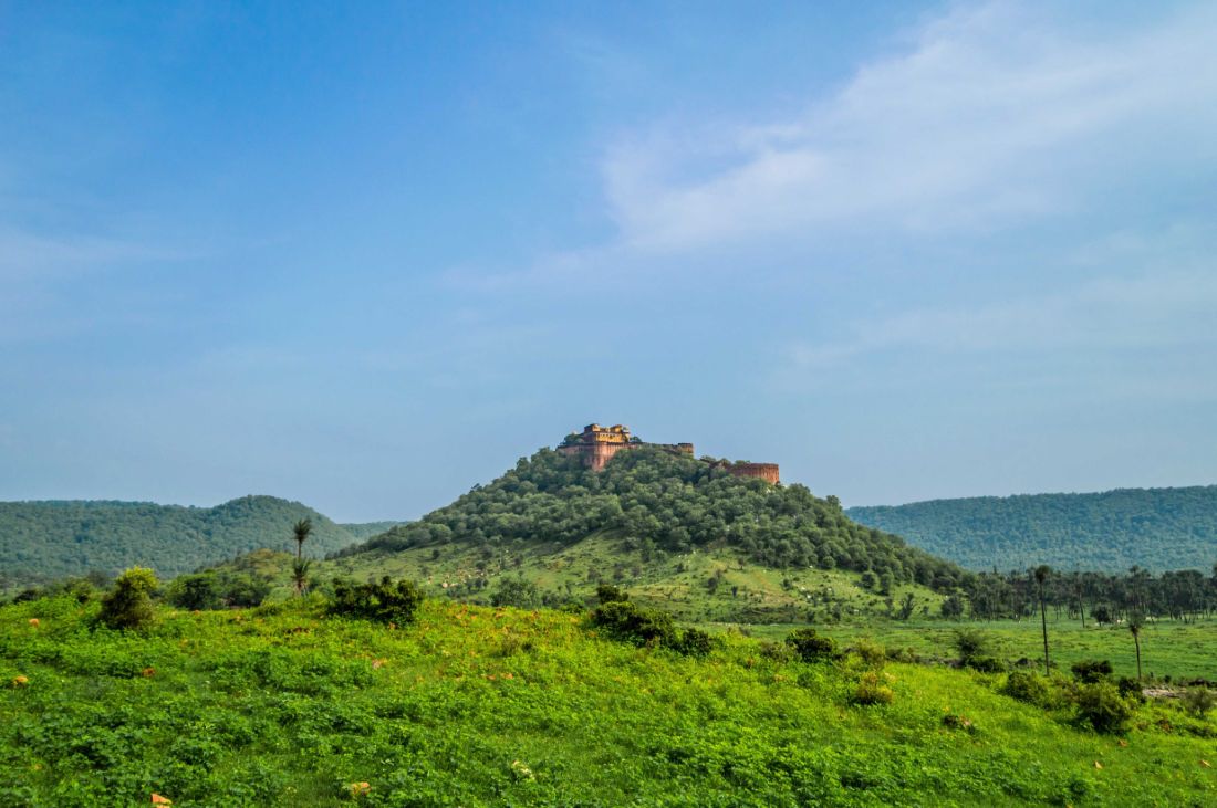 Must-have Experiences in Sariska–Alwar