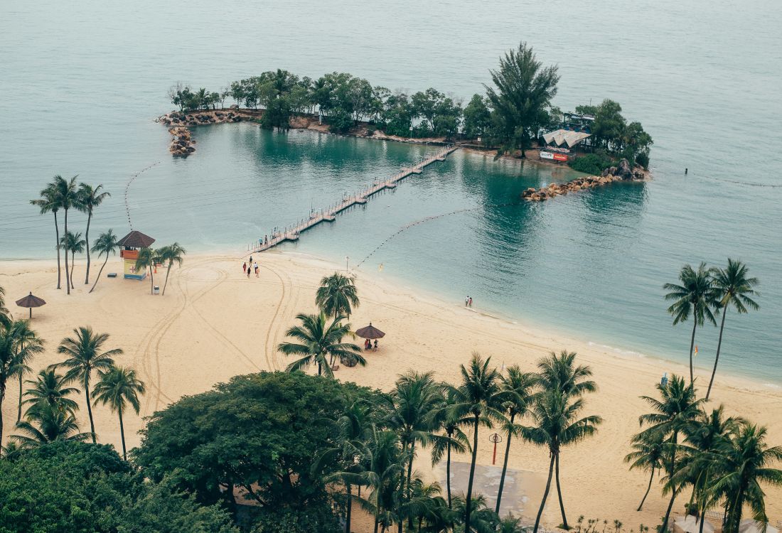 Local Markets & Street Food Spots in Sentosa