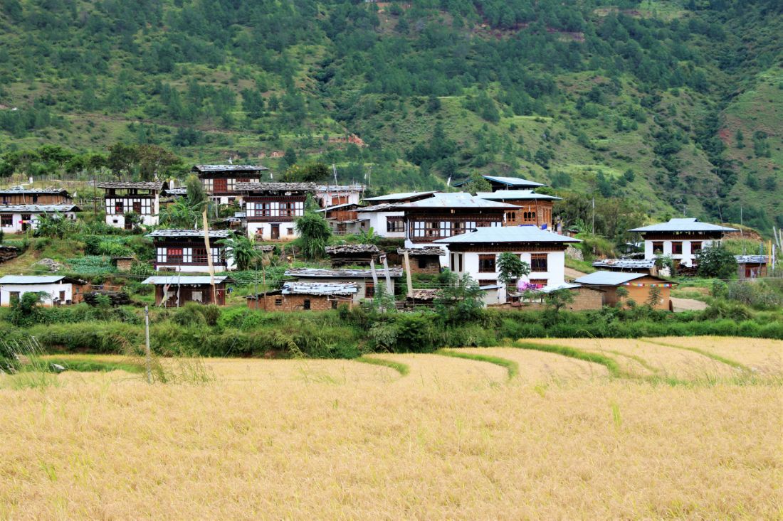 Must-have Experiences in Punakha
