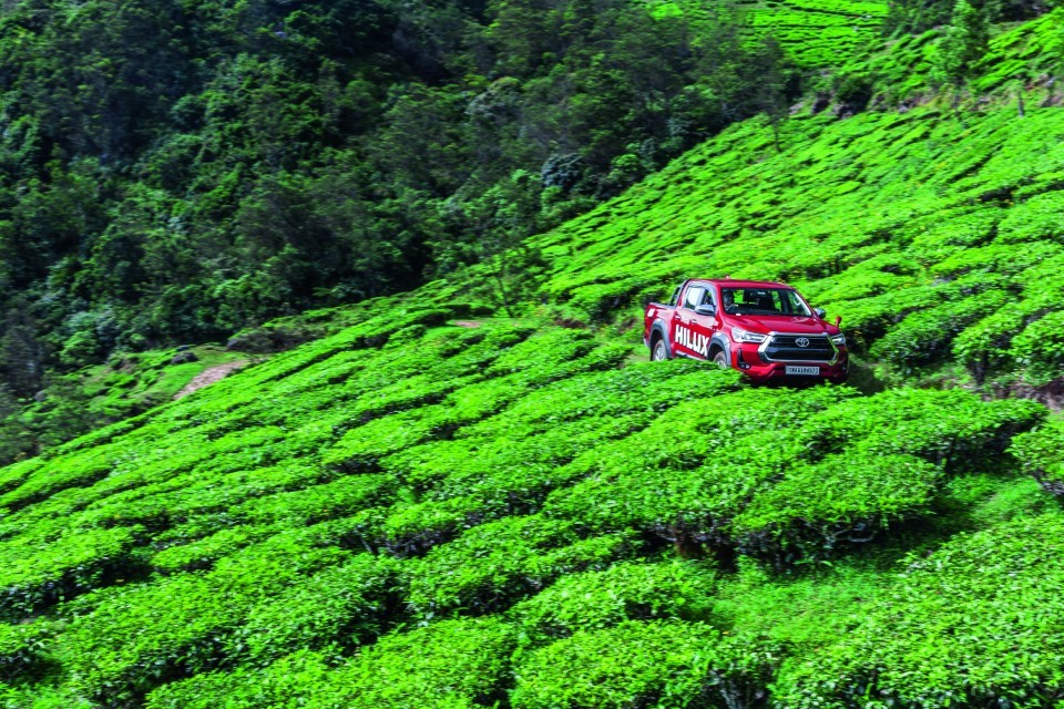 Adventure Activities in Munnar