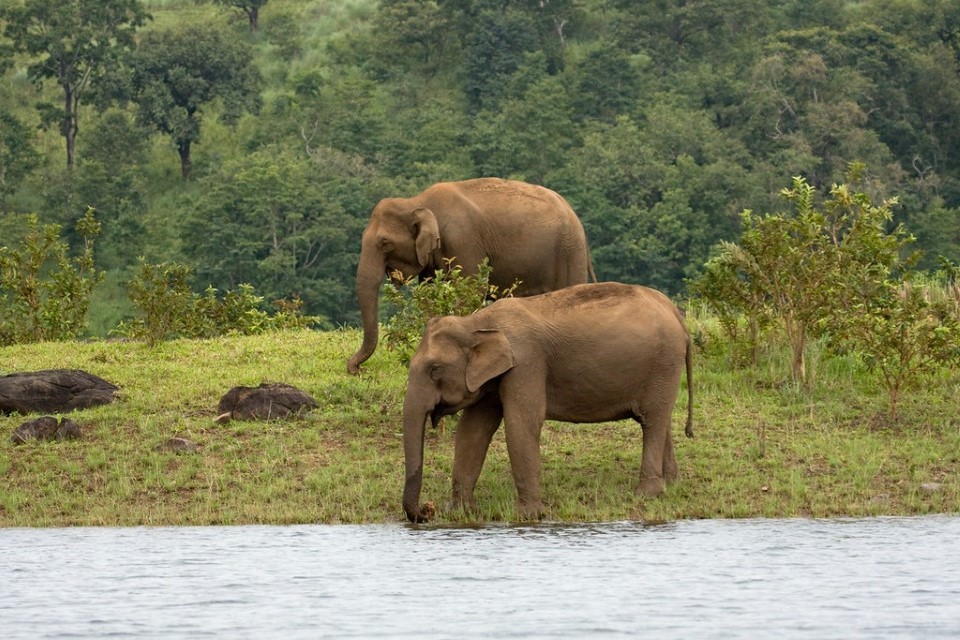 Most Popular Attractions in Vagamon