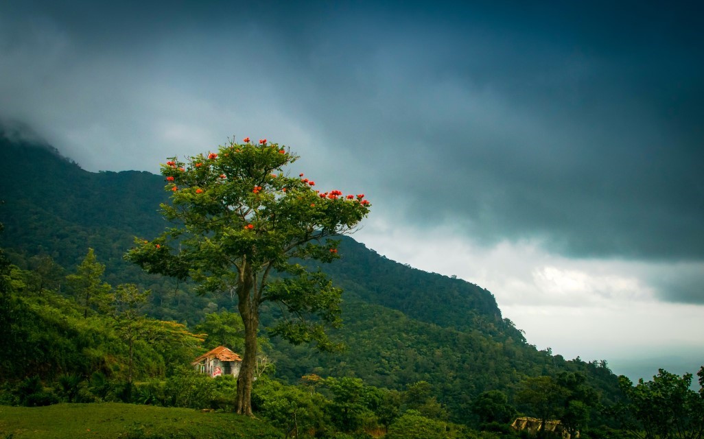 Adventure Activities in Thiruvananthapuram