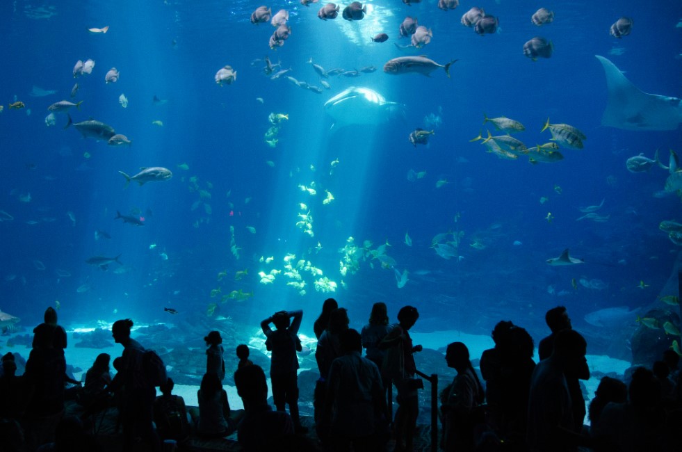 Kid-Friendly Spots in Pattaya