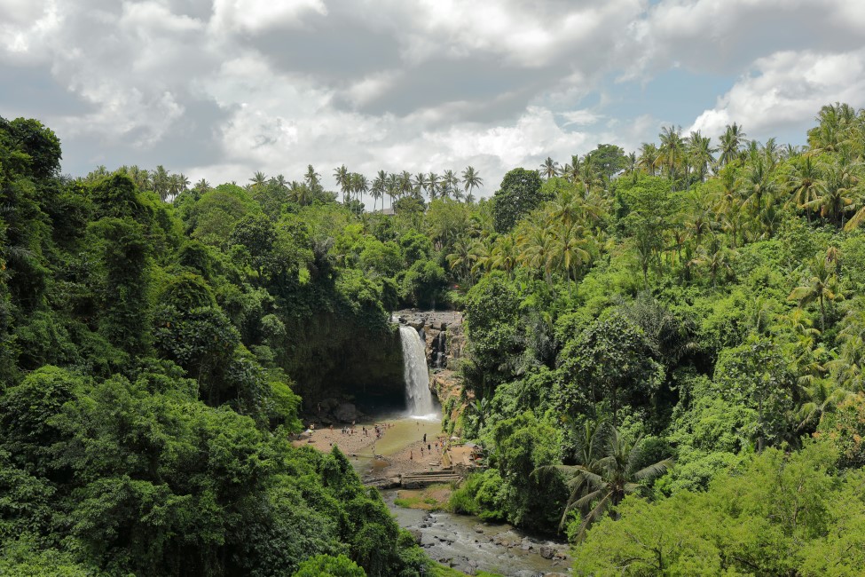 Kid-friendly Spots in Ubud