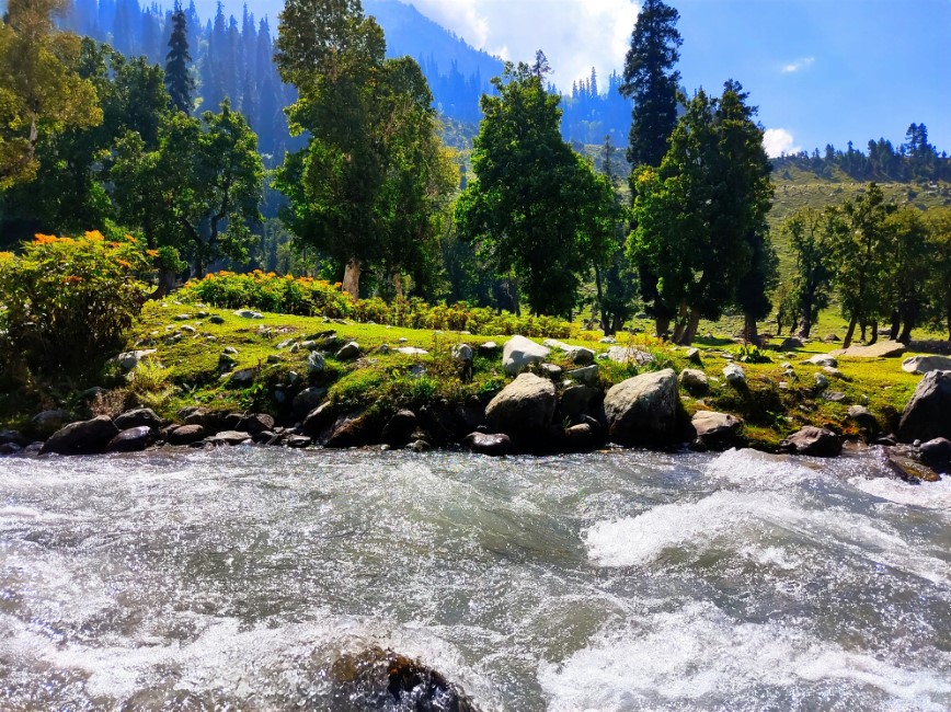 Must try Local Foods and Restaurants in Sonamarg