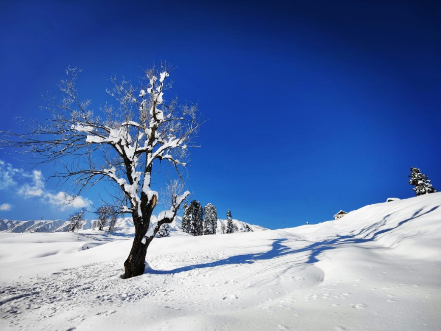 Essential Travel Tips while visiting Kashmir