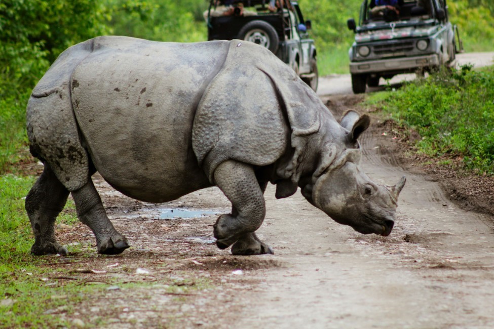 Do’s & Don’ts in Assam Meghalaya