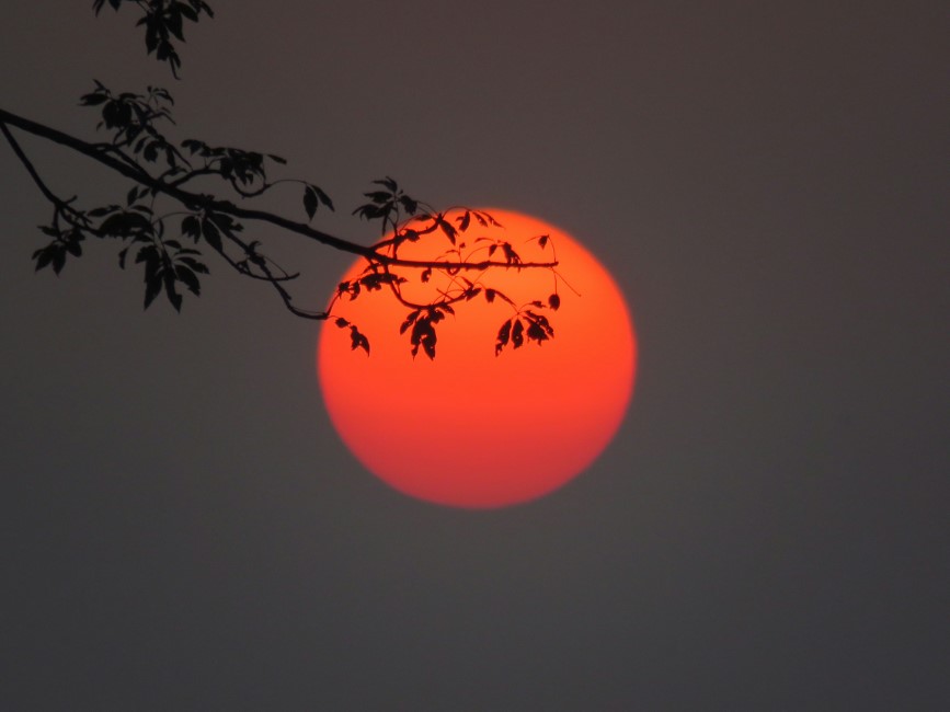 Romantic Spots in Kaziranga