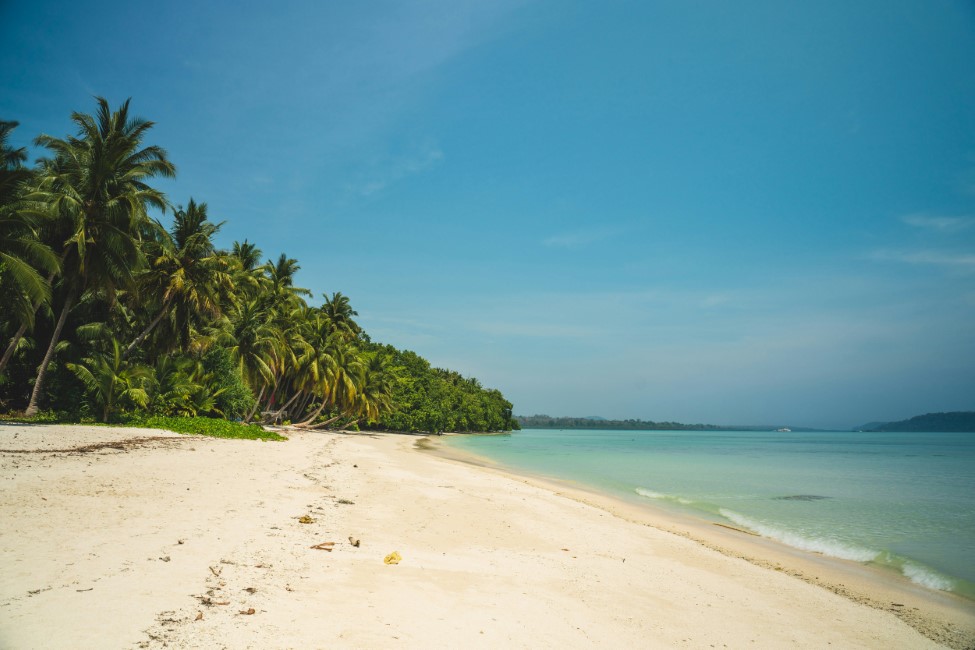 Must try Local Foods and Restaurants in Havelock Island