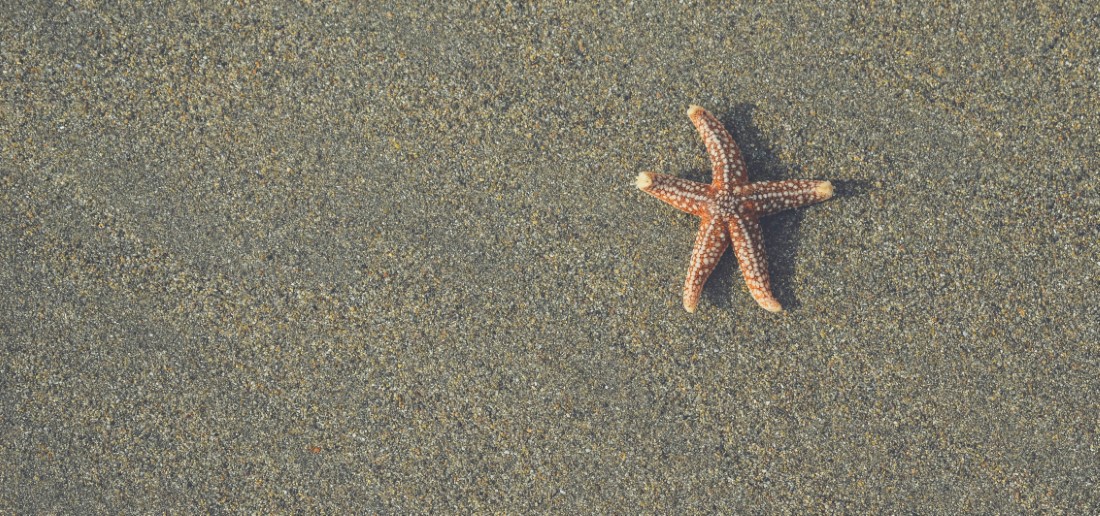 Kid-friendly Spots in Neil Island