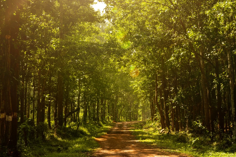 Do’s & Don’ts in Odisha