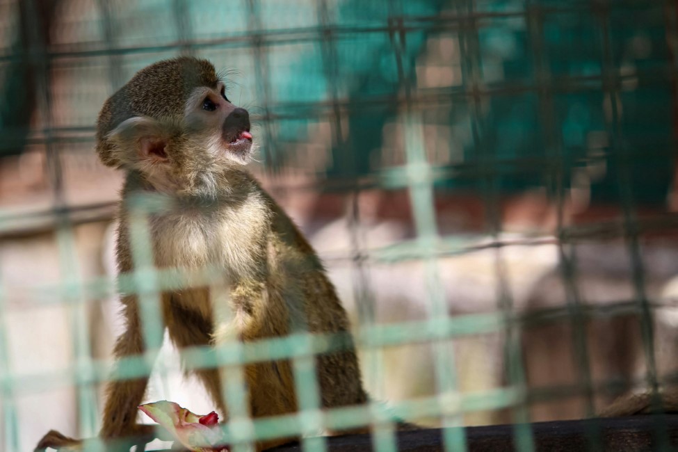 Kid-friendly Spots in Indore