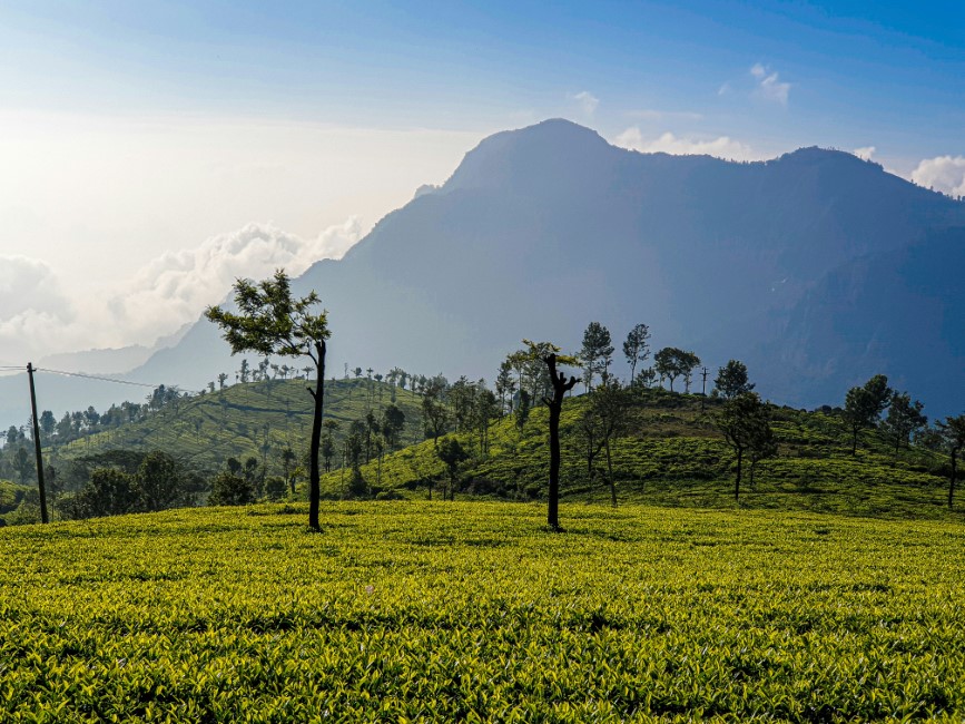 Spiritual Retreats in Ooty