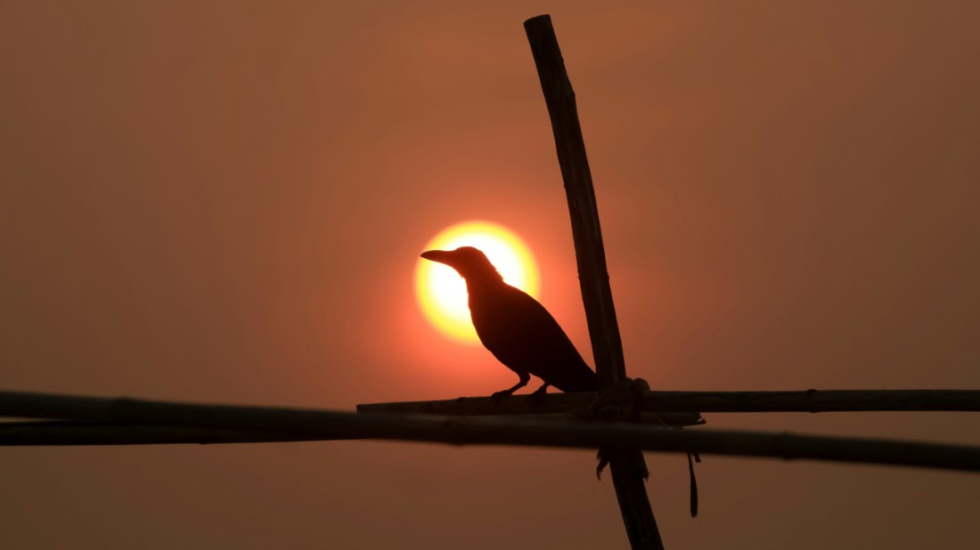 Romantic Spots in Prayagraj