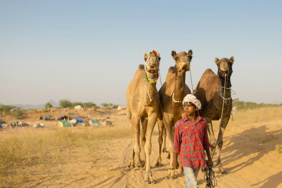 Adventure Activities in Ajmer–Pushkar