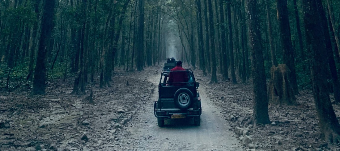 Must-have Experiences in Corbett