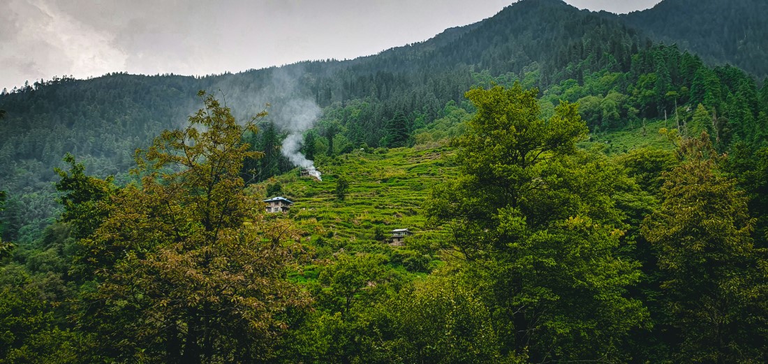 Must try Local Foods and Restaurants in Kullu