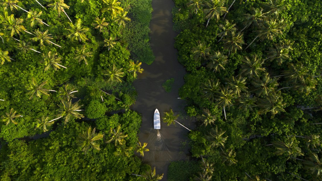Must-have Experiences in Alleppey