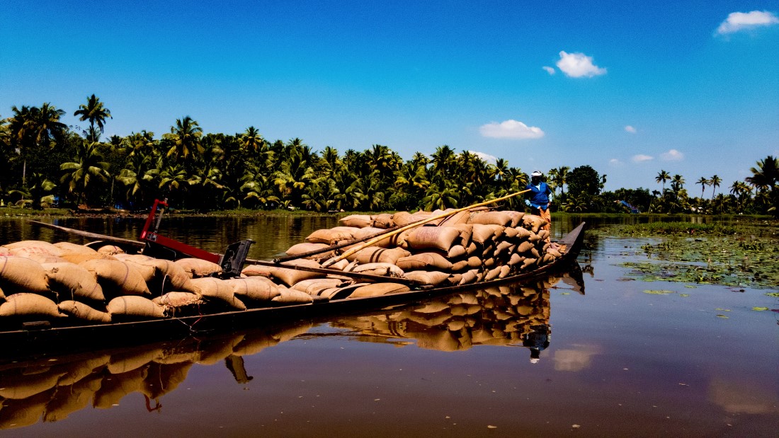 Local Markets & Street Food Spots in Kumarakom