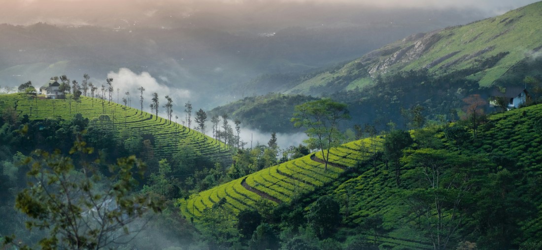Most Popular Attractions in Vagamon