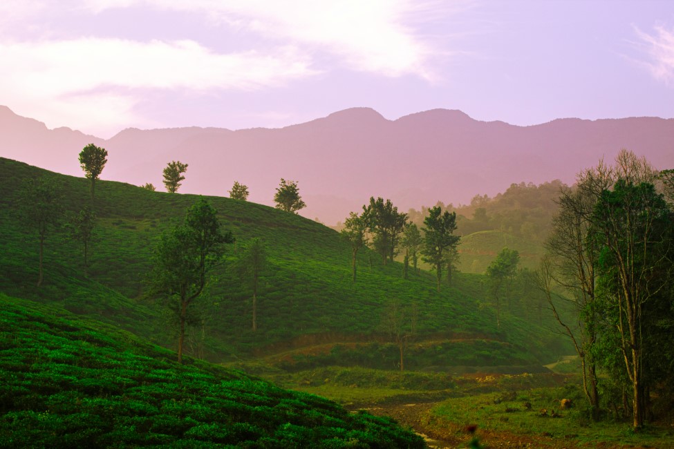 Romantic Spots in Wayanad
