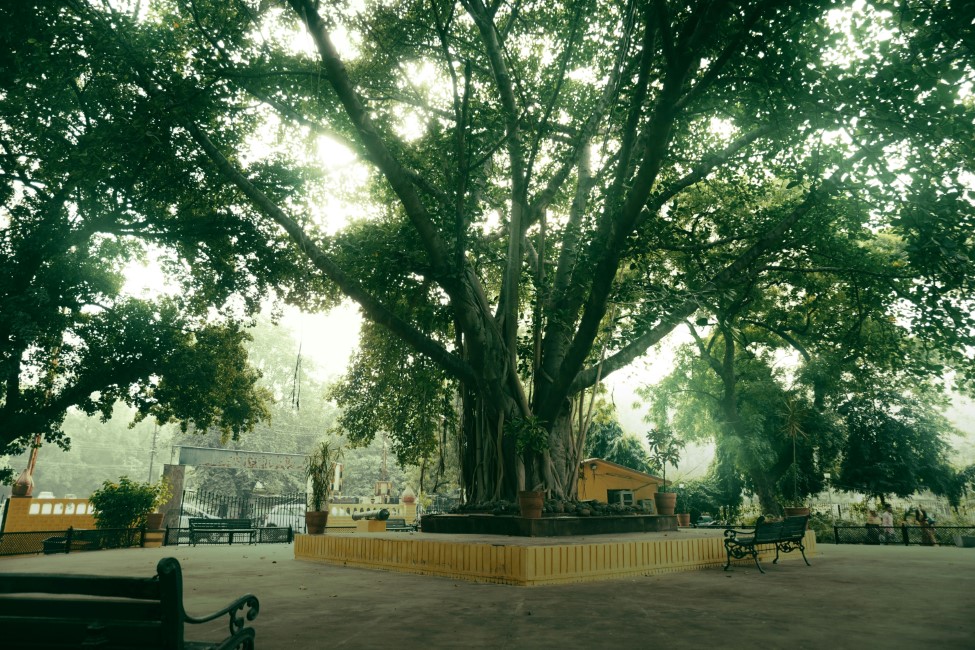Kid-friendly Spots in Gwalior