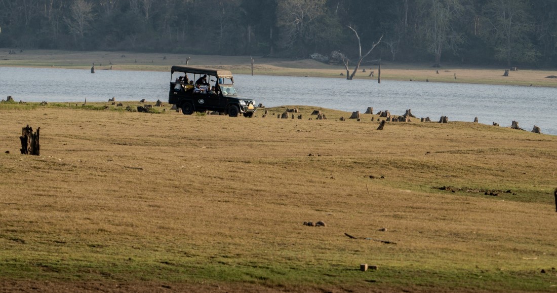 Must-have Experiences in Nagarhole