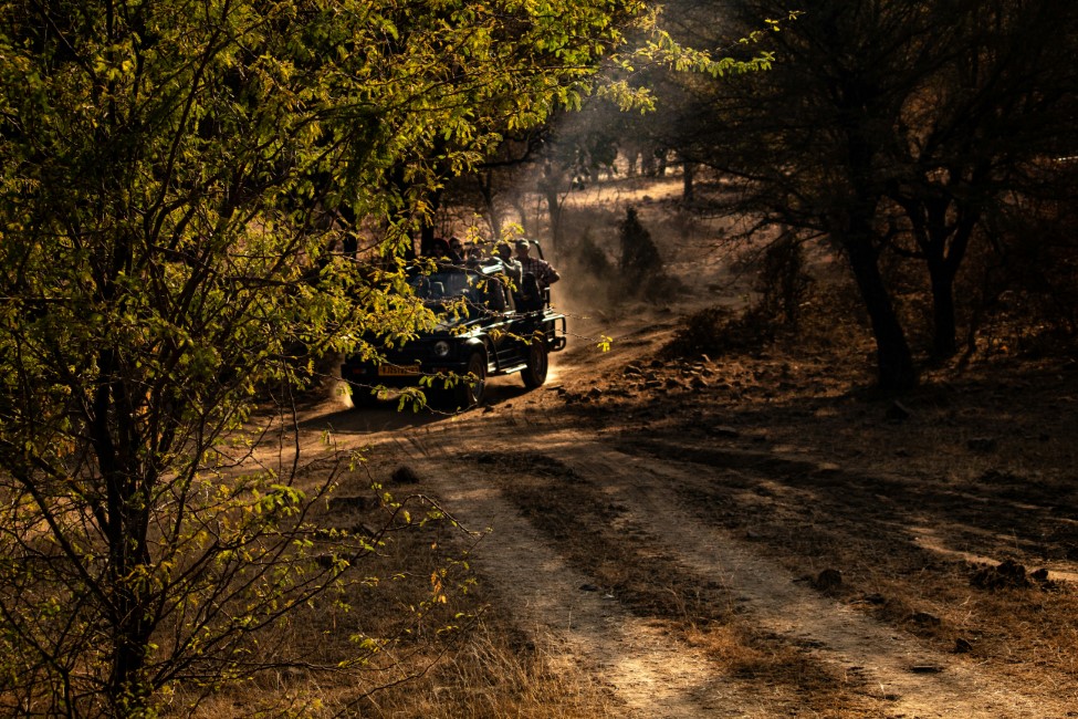 Adventure Activities in Ranthambore