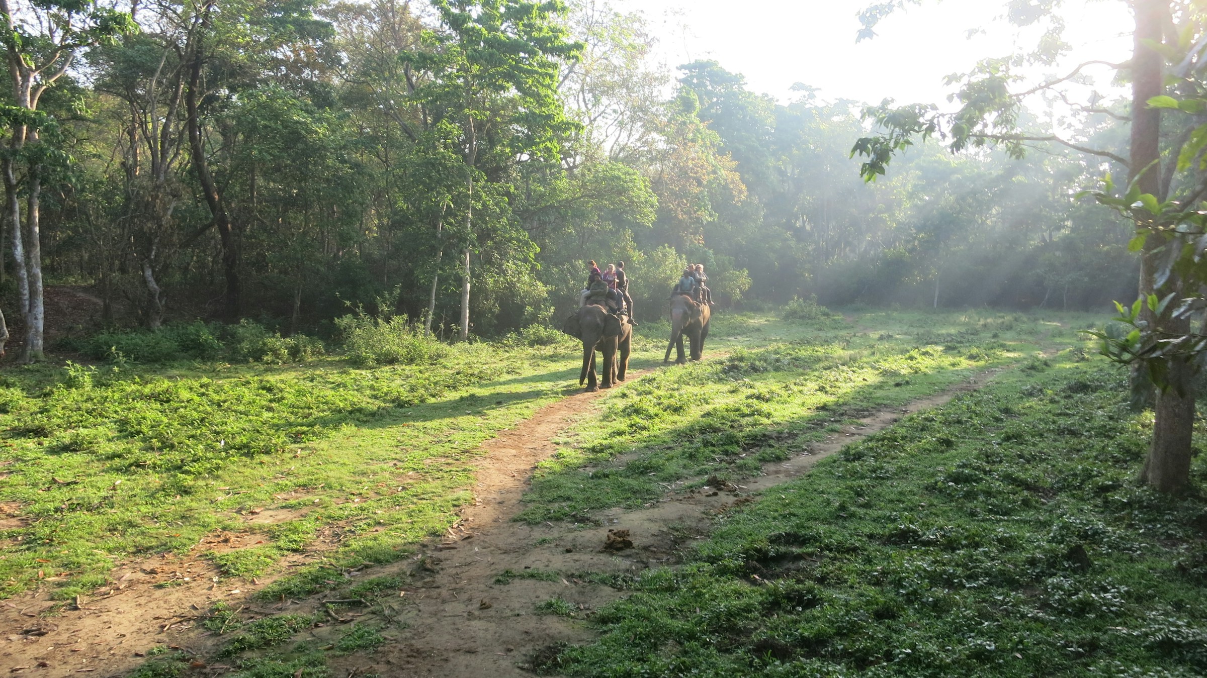 Must try Local Foods and Restaurants in Chitwan