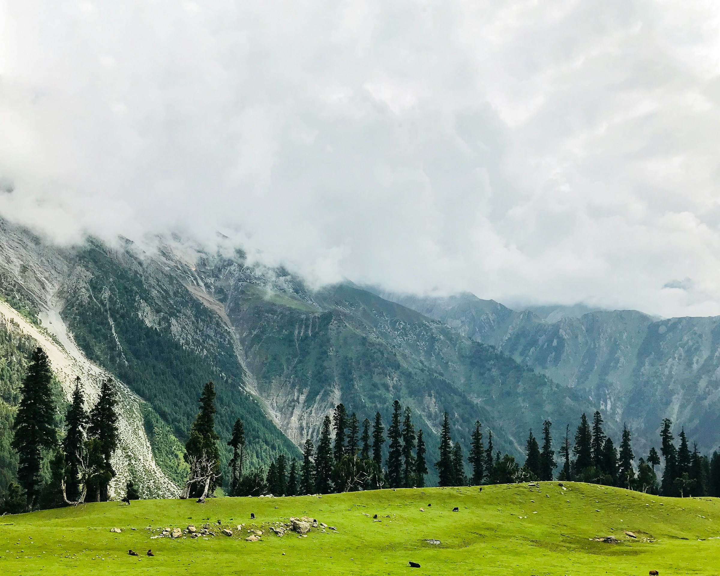 Essential Travel Tips while visiting Kashmir
