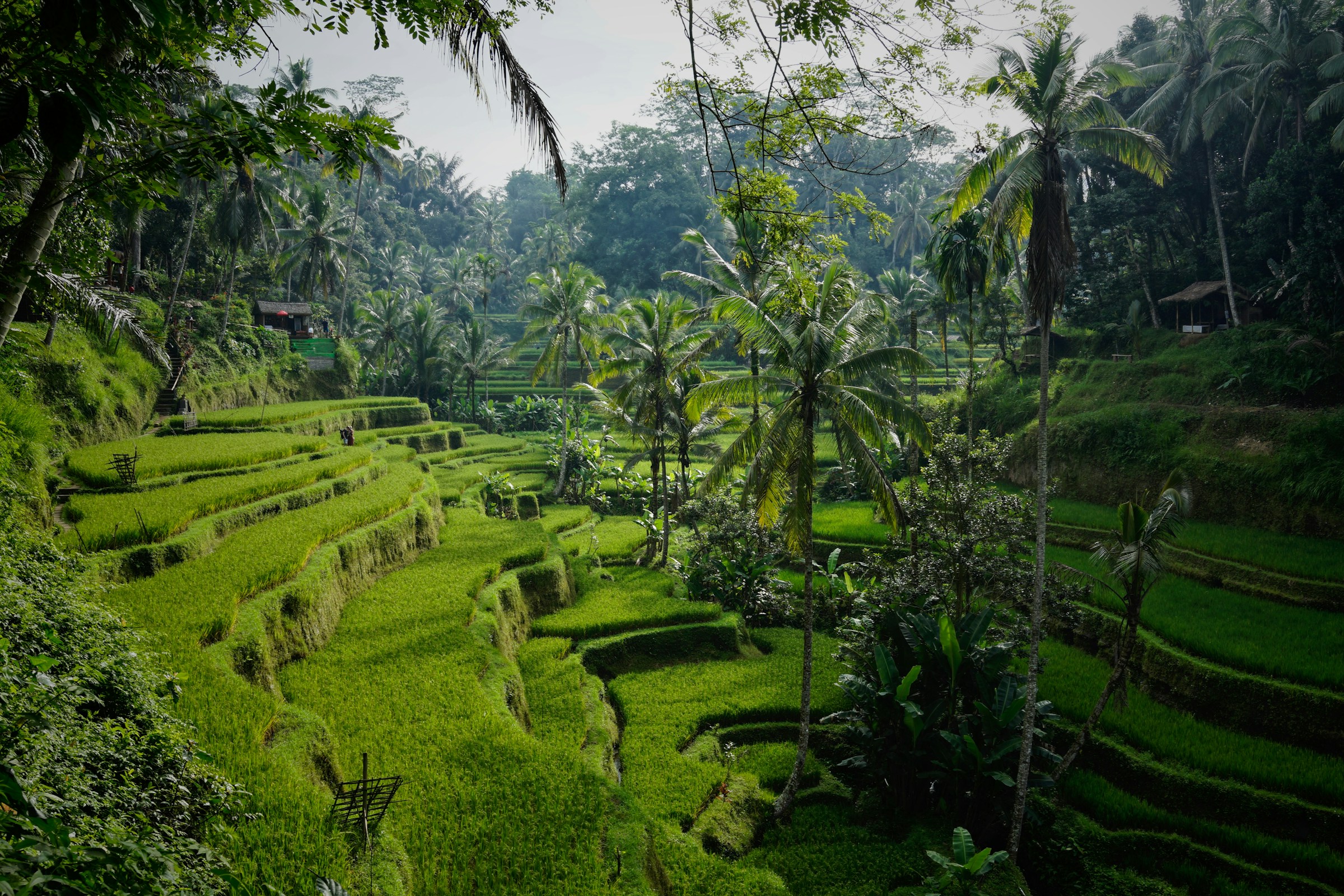 Adventure Activities in Ubud