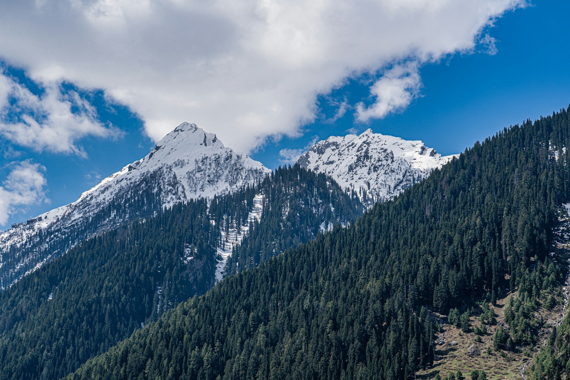 Most Popular Attractions in Srinagar