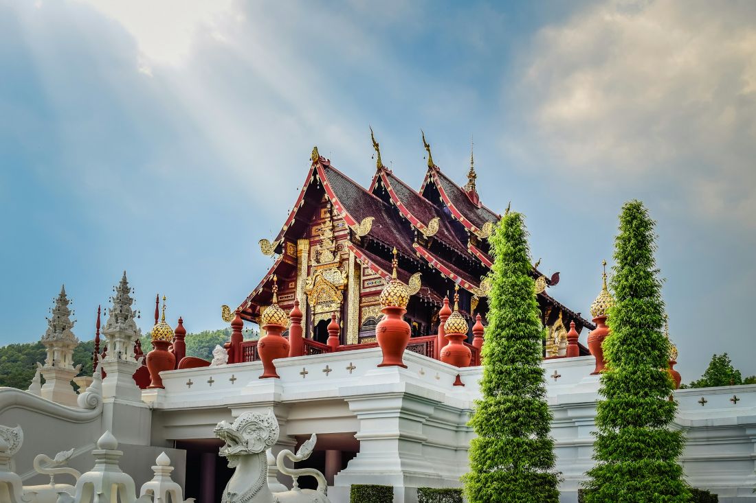 Must-Have Experiences in Chiang Mai