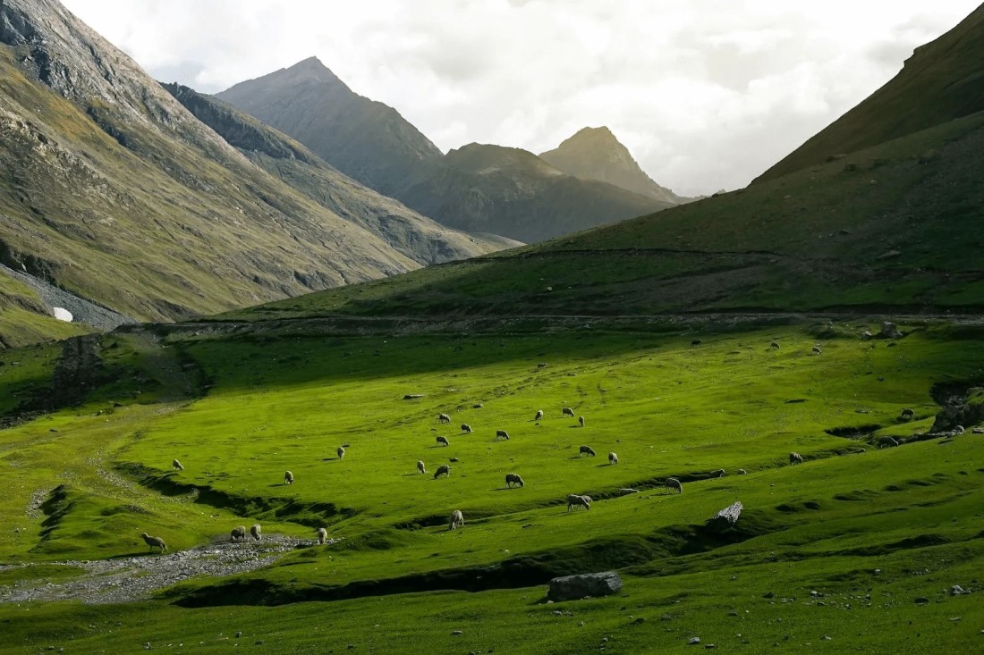 Romantic Spots in Gulmarg